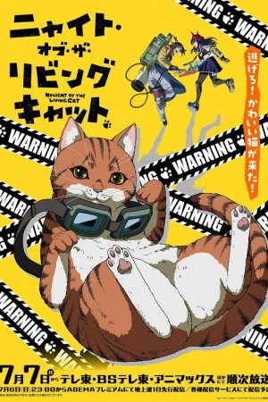 Ночь живых кошаков турецкий сериал